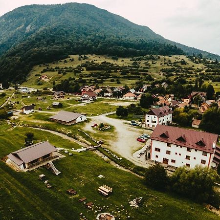 Pensiunea 3 Brazi Zărneşti Zewnętrze zdjęcie
