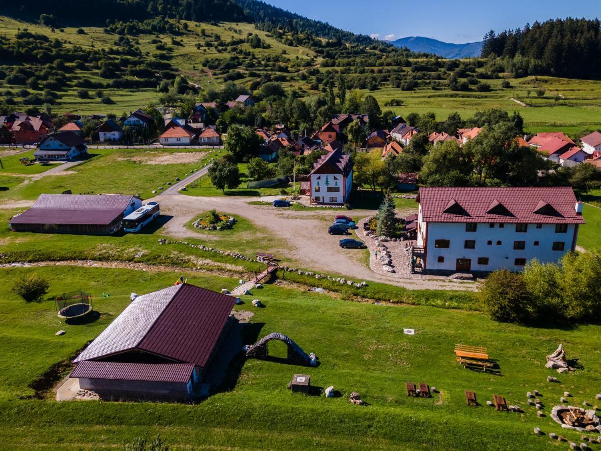 Pensiunea 3 Brazi Zărneşti Zewnętrze zdjęcie