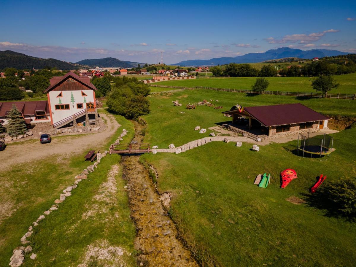 Pensiunea 3 Brazi Zărneşti Zewnętrze zdjęcie