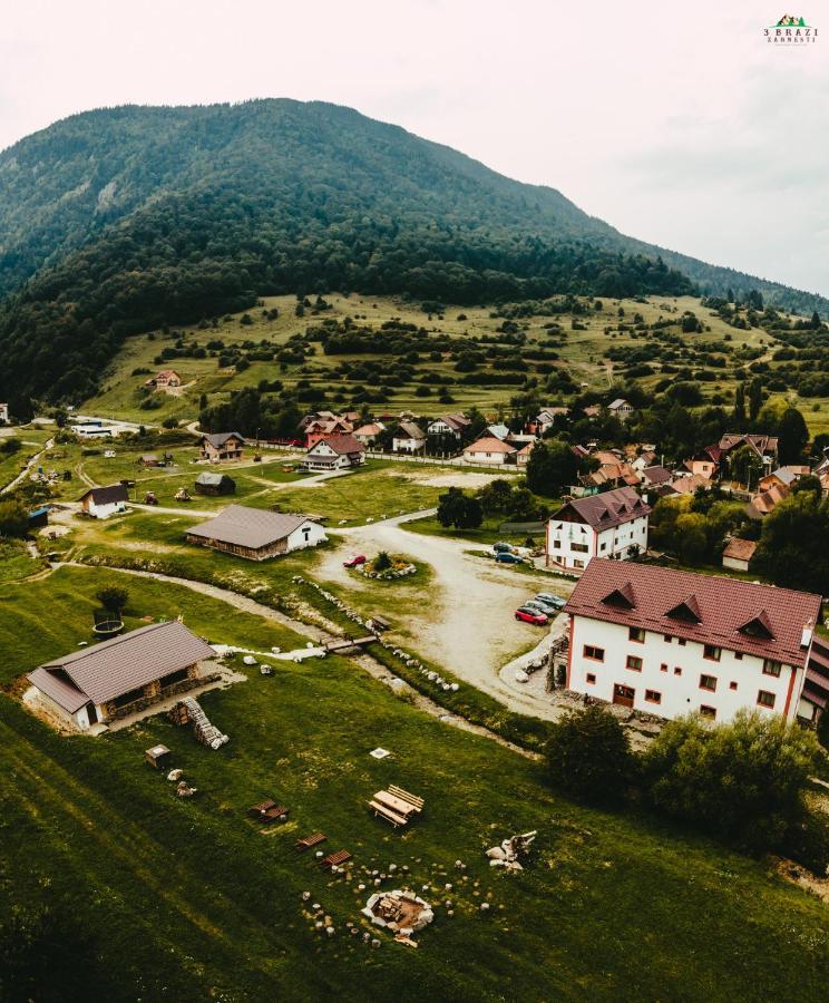 Pensiunea 3 Brazi Zărneşti Zewnętrze zdjęcie