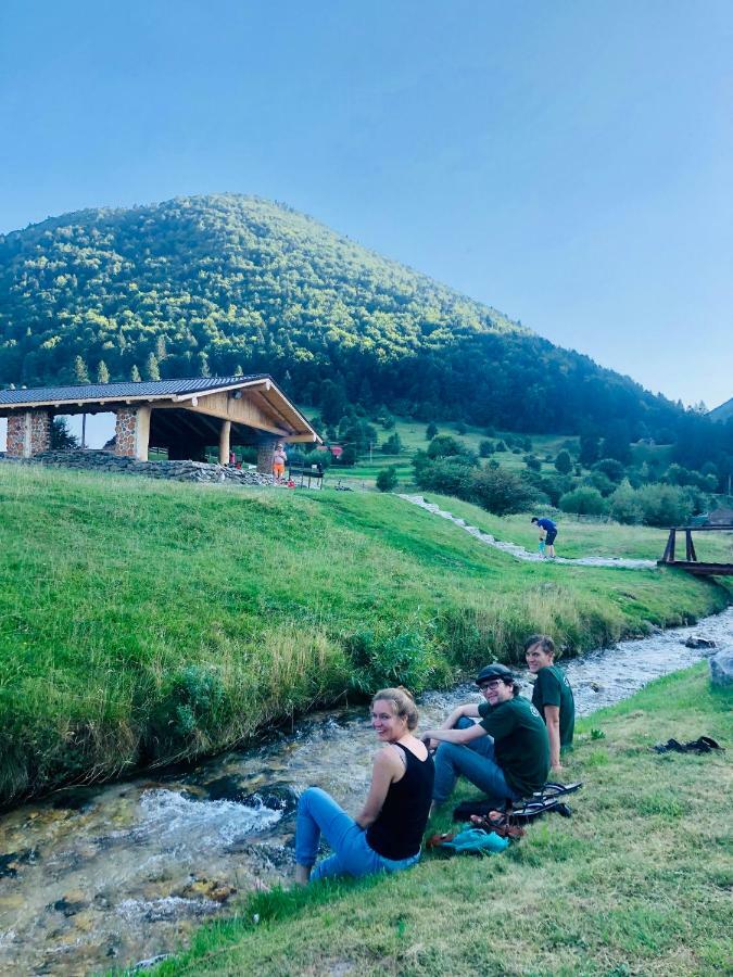 Pensiunea 3 Brazi Zărneşti Zewnętrze zdjęcie
