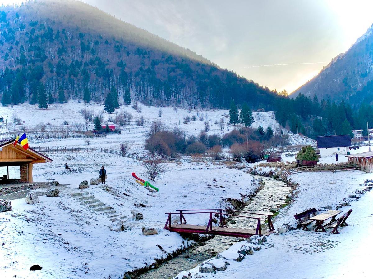 Pensiunea 3 Brazi Zărneşti Zewnętrze zdjęcie